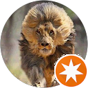 Darlene profile picture