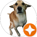 Ricka Ford profile picture